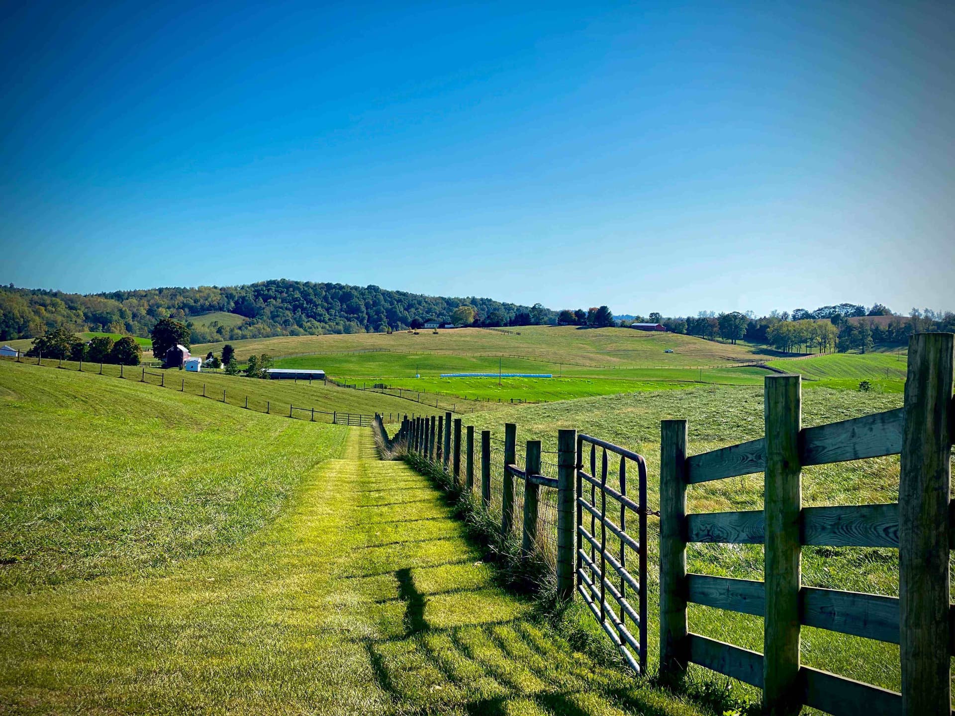 rolling-hills-farm-fencing